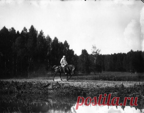 Пользователь Екатерина сохранил этот пин на доску «Старые фотографии»
Л. Н. Толстой верхом на лошади в усадьбе Ясная Поляна, 1908 год, Тульская губерния, Российская империя  https://muz4in.net/dir/bez_kategorii/l_n_tolstoj_verkhom_na_loshadi_v_usadbe_jasnaja_poljana_1908_god_tulskaja_gubernija_rossijskaja_imperija/13-1-0-3932 |  Pinterest