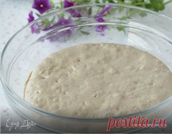 Ржаная закваска (МК)