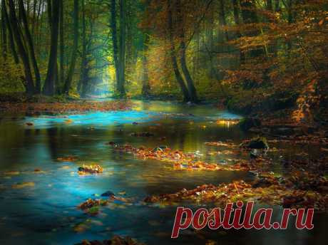 Google+