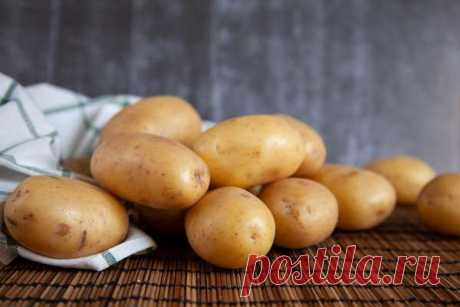 Озеленение картофеля для посадки: почему дачники не рекомендуют этого делать — Сад Заготовка