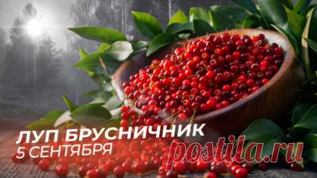 5 сентября православная церковь чтит память мученика Луппа Солунского, который обладал способностью совершать чудеса.