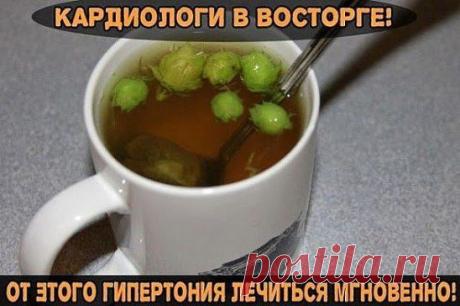 Семечки... от гипертонии