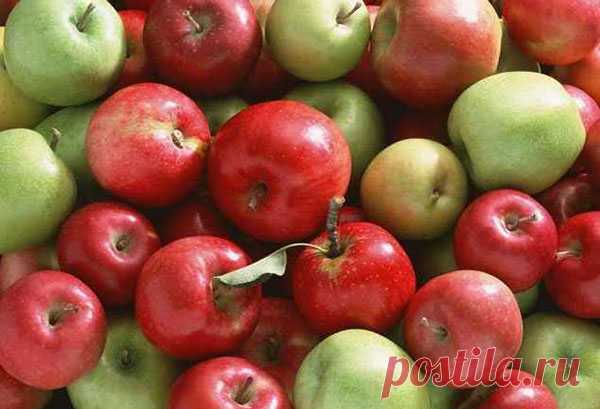 20 продуктов, которые не содержат калорий — Интересные факты