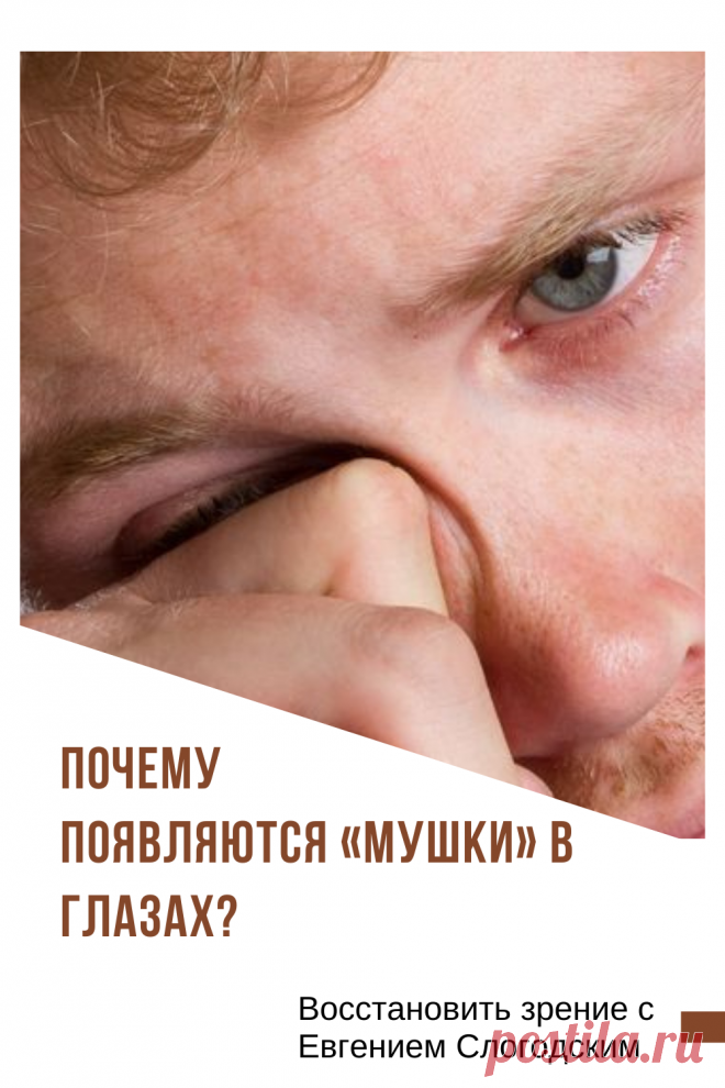 Мушки в глазах что это такое Зуд сухость глаз Деструкция стекловидного тела Как избавиться от плавающих мушек Нарушение зрения Вернуть зрение Помутнения перед глазами причины и лечение Средства для улучшения зрения Упражнения для глаз Мушки в глазах исчезают навсегда Плавающие помутнения точки паутинки перед глазами Болезни глаз Возрастное изменение Заболевания сетчатки Устают глаза Боль Плохое зрение Восстановить зрение с Евгением Слогодским без операции Гимнастика тренажёр для глаз Миодезопсия