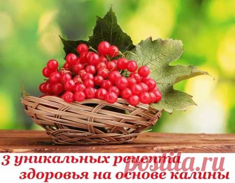Рецепты на основе калины