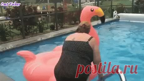 Одноклассники