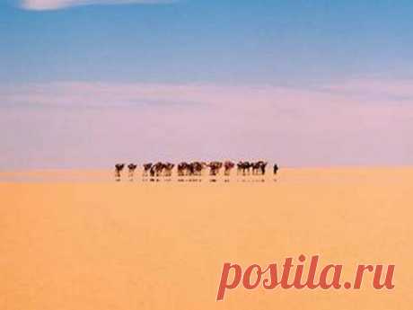 Самые уникальные явления природы / Всё самое лучшее из интернета