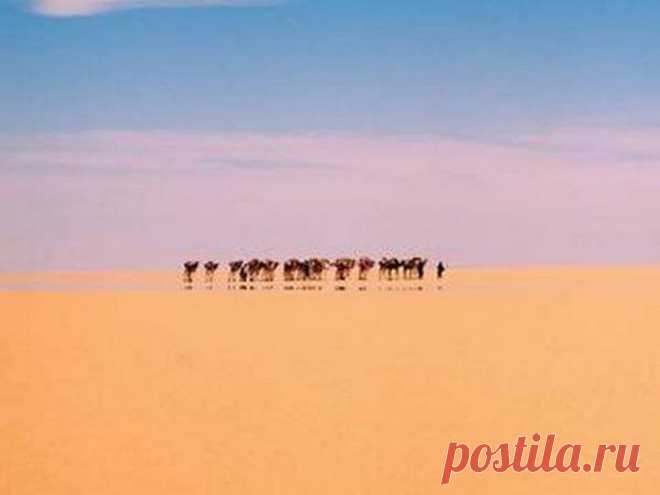 Самые уникальные явления природы / Всё самое лучшее из интернета