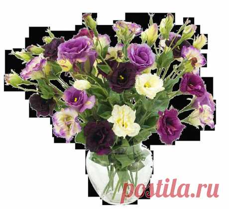 Букеты