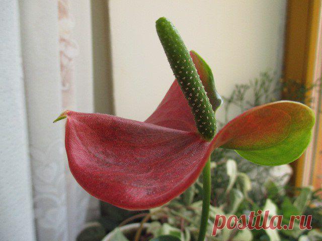 Интересные новости