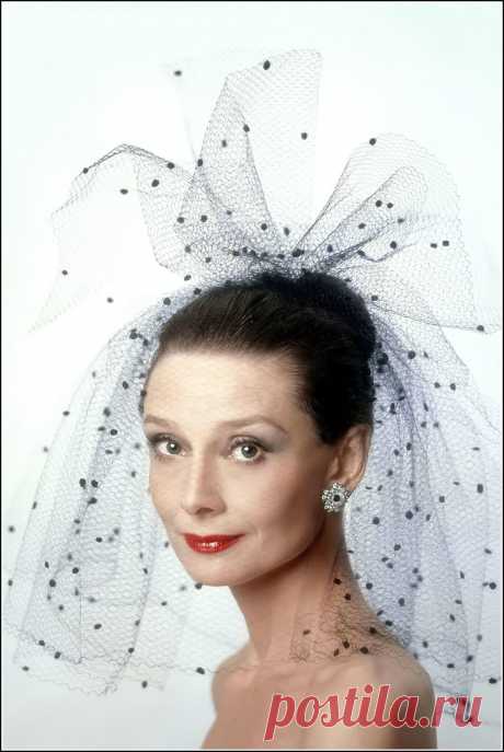 Аudrey Hepburn photographed by Sergio Strizzi at Maison Givenchy for the publicity of her movie "Bloodline", February 1979