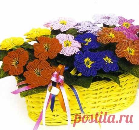 Примула / Цветы / Biserok.org