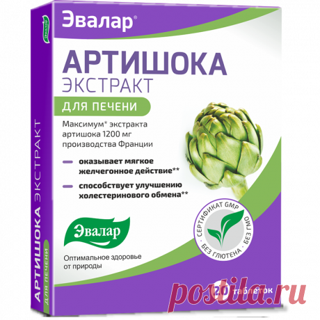 Препараты для восстановления печени после химиотерапии: перечень