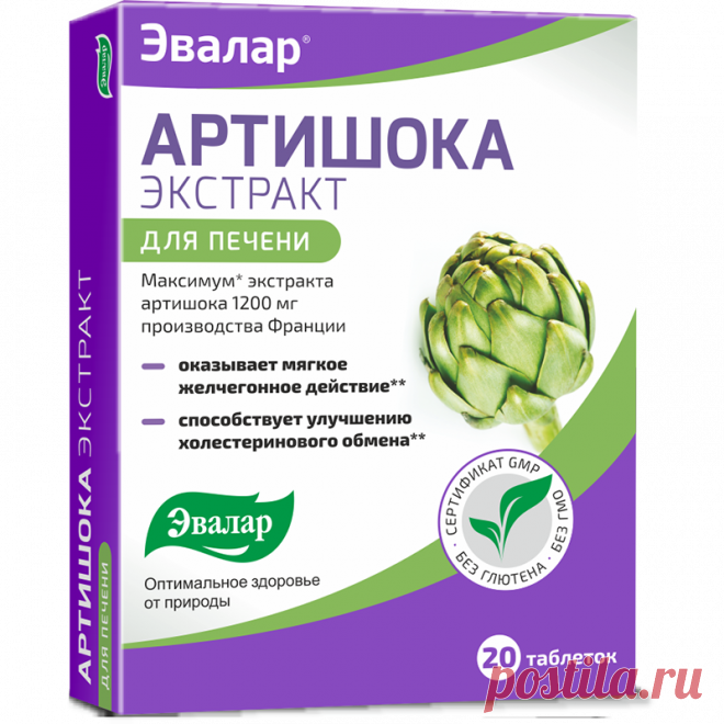 Препараты для восстановления печени после химиотерапии: перечень