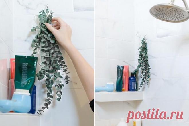 Без «химии»: 15 простых и бюджетных способов, как наполнить квартиру и авто приятным ароматом Запахи влияют на нас куда сильнее, чем нам кажется. К примеру, доказано, что именно аромат создаёт ощущение домашнего уюта. Сколько не расставляйте статуэтки и не обвешивайте стены фотографиями, если ...