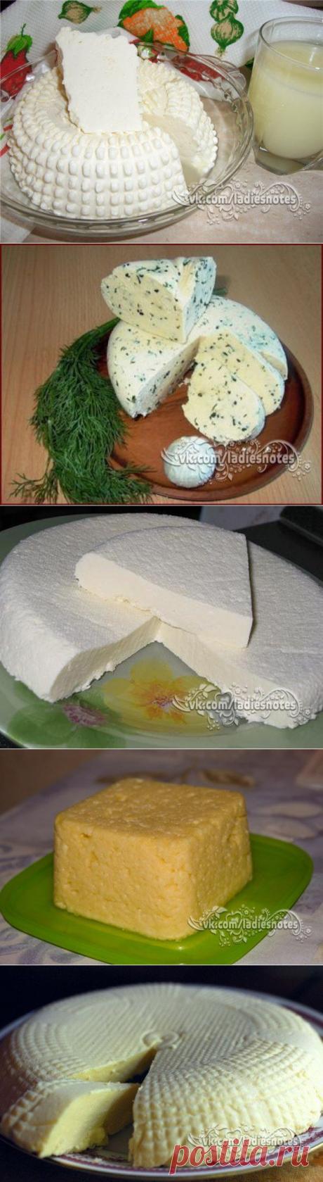 ТОР - 14 Подборка вкусных домашних сыров!