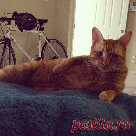 Василий Тимошин vasiliy-timoshin - Москва, 61 год на Мой Мир@Mail.ru