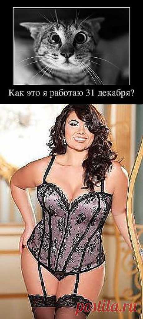 (15) Одноклассники