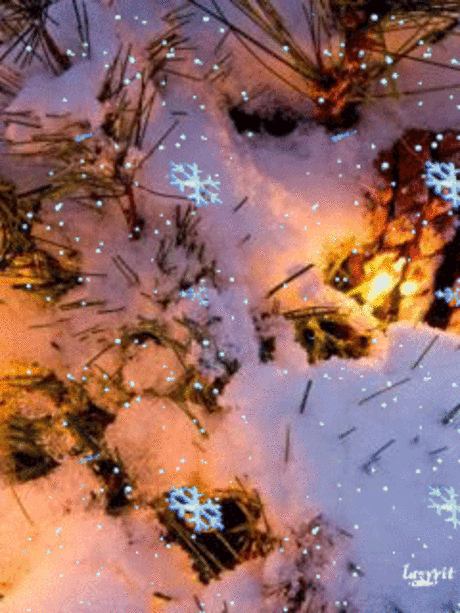1202765.gif (240×320)