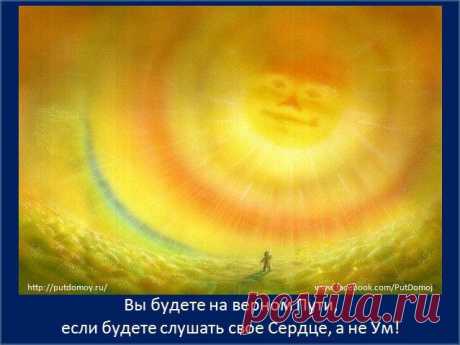 Жить Сердцем!