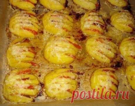 Картофельные ракушки