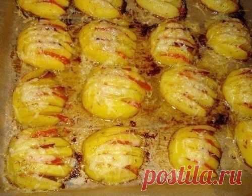Картофельные ракушки