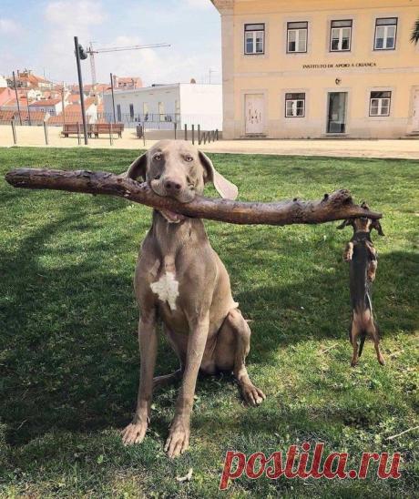 17 фотографий, которые не оставят шанса вашему плохому настроению