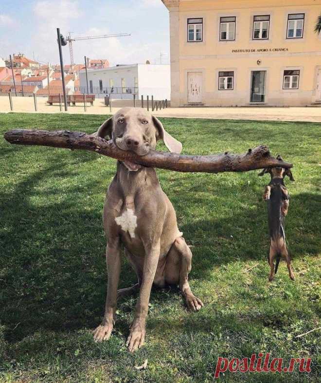 17 фотографий, которые не оставят шанса вашему плохому настроению