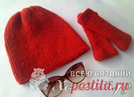 Шапка и митенки спицами
