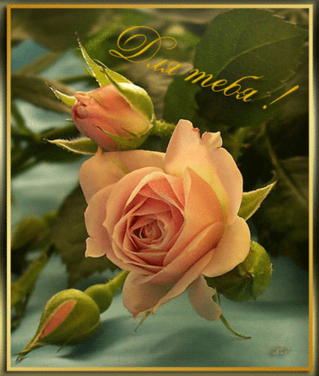 ☼ Мир Красоты и Хорошего Настроения! - Группы Мой Мир