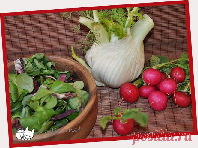 Салат из фенхеля, редиса и апельсина / Овощные салаты / Кукорама — вкусные рецепты!