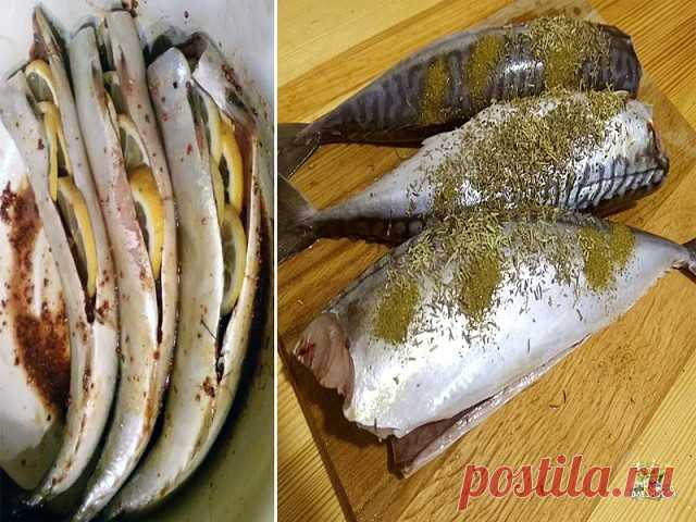 Скумбрия для дам — лучше шашлыка! 
И вкусно, и дымок, живoтики плоские и талии тонкие.