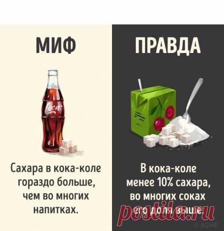 12 мифов о популярных напитках, которые можно смело забыть