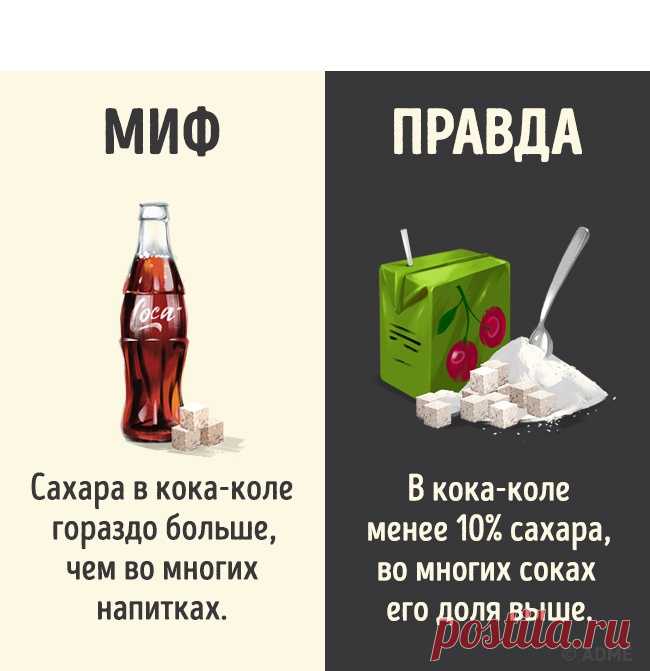 12 мифов о популярных напитках, которые можно смело забыть