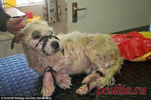 Пакет на рельсах ничего не предвещал, но внутри оказалась она....