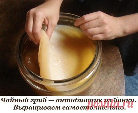 (90) Одноклассники