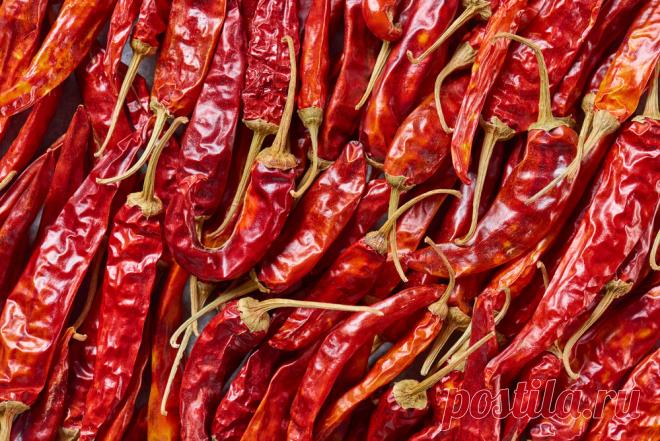 Перец чили на четверть снижает риск смерти Ученые рассказали, что при регулярном употреблении перца чили риск смерти снижается на 25%.