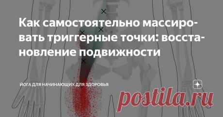Как самостоятельно массировать триггерные точки: восстановление подвижности Статья автора «Йога для начинающих для здоровья» в Дзене ✍:   Обнаружение эпицентра боли  Зная проблемную мышечную группу, предстоит выявить точное местоположение триггерной точки – эпицентра...
