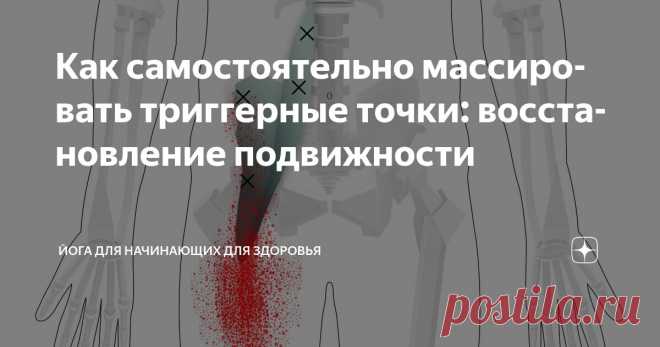 Как самостоятельно массировать триггерные точки: восстановление подвижности Статья автора «Йога для начинающих для здоровья» в Дзене ✍:   Обнаружение эпицентра боли  Зная проблемную мышечную группу, предстоит выявить точное местоположение триггерной точки – эпицентра...