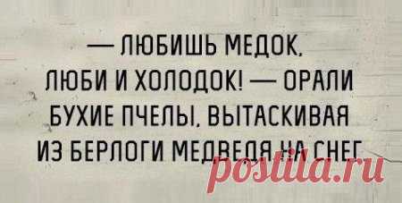 Постновогодние фотоприкольности
