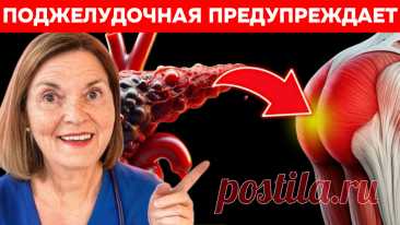 Тихий враг: как я научился слышать поджелудочную железу (и почему это спасло бы моего друга) | Игорь Ботоговский | Дзен
