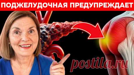 Тихий враг: как я научился слышать поджелудочную железу (и почему это спасло бы моего друга) | Игорь Ботоговский | Дзен