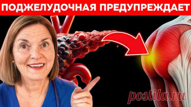 Тихий враг: как я научился слышать поджелудочную железу (и почему это спасло бы моего друга) | Игорь Ботоговский | Дзен