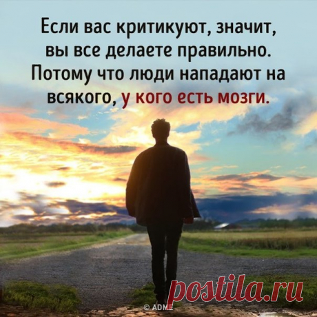 если вас критикуют