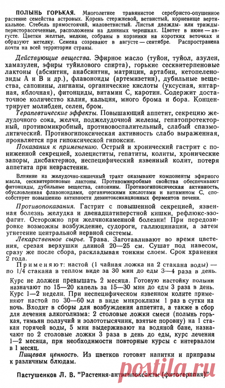 Полынь горькая