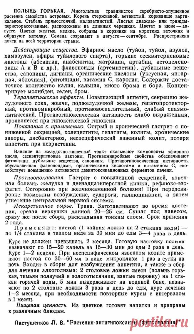 Полынь горькая