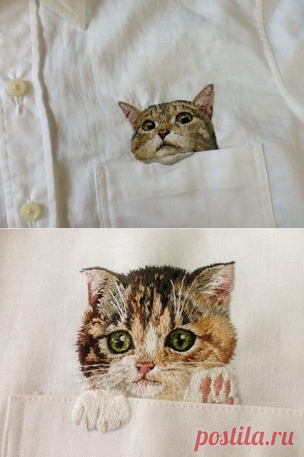 Карманные коты