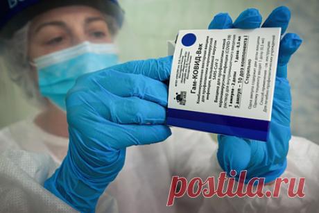 В ВОЗ рассказали о последнем препятствии для одобрения «Спутника V». Последнее препятствие для того, чтобы Всемирная организация здравоохранения (ВОЗ) одобрила российскую вакцину «Спутник V» — полный пакет документов по препарату. Об этом рассказал старший специалист отдела иммунизации Европейского бюро ВОЗ Олег Бенеш.