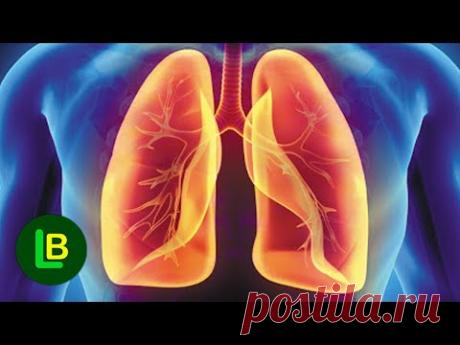 Очистите легкие за два дня. Вам понадобится всего два ингредиента