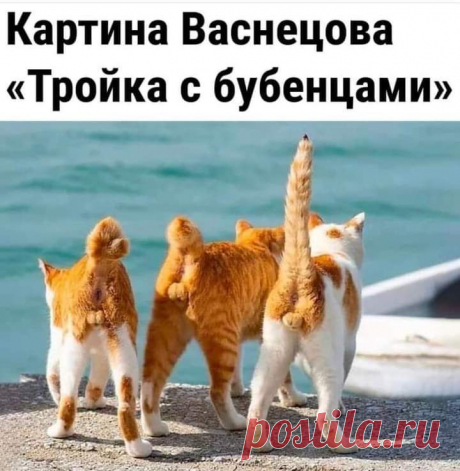 Юмор